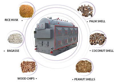 biomass steam boiler.jpg