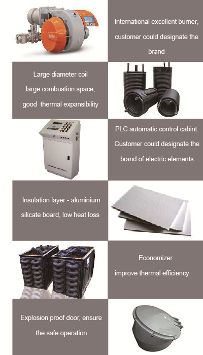 thermal oil boiler details.jpg