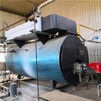 Condensing Steam Boiler