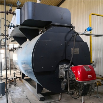 Condensing Steam Boiler